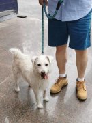 这包罗对各品种型的衡宇类型（、公寓、别墅）